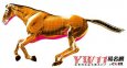 属马宝宝起名宜用字
