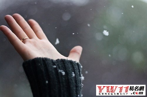 梦见人见血