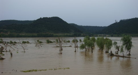 梦见下雨涨水