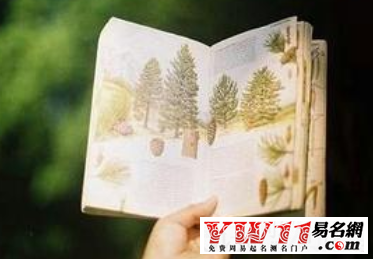 亦舒经典语录