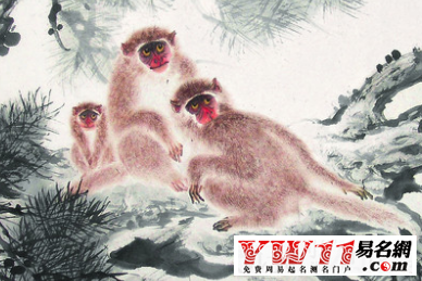 属猴办公室风水布局