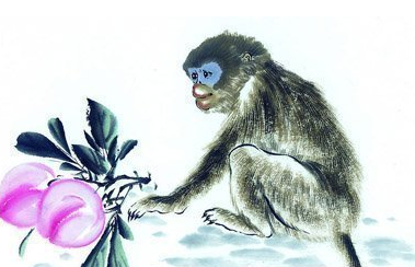 属猴办公室风水布局