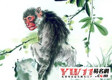 属猴办公室风水布局