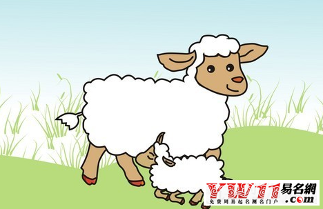 属羊的年份,属羊的是哪年出生