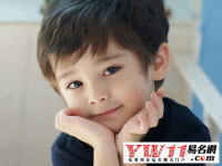 好听的杨姓男孩名字大全2020