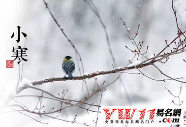 一月份有什么节日