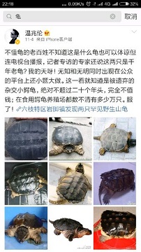 龟与风水的解析大全