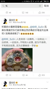 龟与风水的解析大全