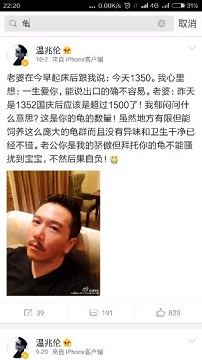 龟与风水的解析大全