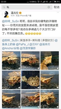 龟与风水的解析大全