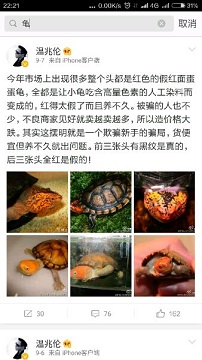 龟与风水的解析大全