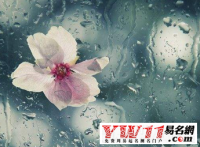梦见下雨是什么征兆？