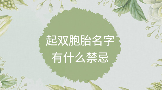 起双胞胎名字有什么禁忌？