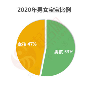 2020年度中国起名大数据报告白皮书