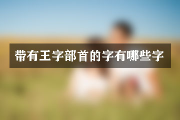 带有王字部首的字有哪些字