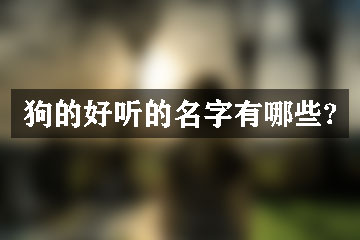 狗的好听的名字有哪些?