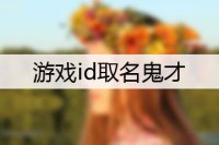 游戏id取名鬼才