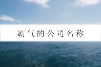 霸气的公司名称