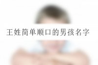 王姓简单顺口的男孩名字