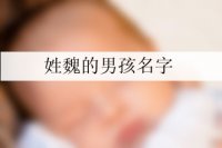 姓魏的男孩名字