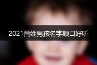 2021黄姓男孩名字顺口好听