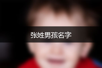 张姓男孩名字