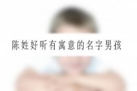 陈姓好听有寓意的名字男孩