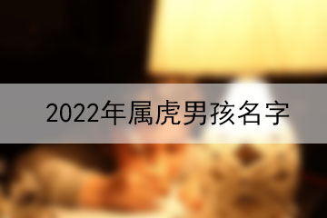 2022年属虎男孩名字