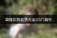 梁姓女孩名字大全2021属牛