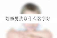 姓杨男孩取什么名字好