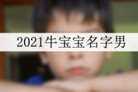 2021牛宝宝名字男