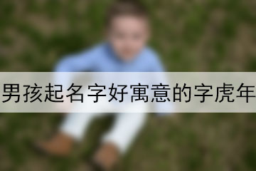 男孩起名字好寓意的字虎年