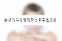 姓吴的牛宝宝取什么名字比较好