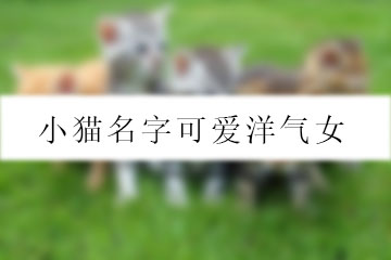 小猫名字可爱洋气女