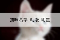 猫咪名字 动漫 明星