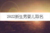 2022新生男婴儿取名