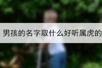 男孩的名字取什么好听属虎的