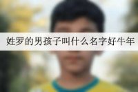 姓罗的男孩子叫什么名字好牛年