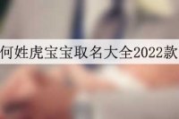 何姓虎宝宝取名大全2022款