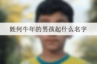 姓何牛年的男孩起什么名字