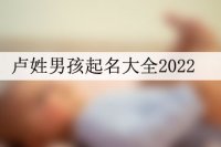 卢姓男孩起名大全2022