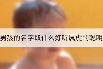 男孩的名字取什么好听属虎的聪明