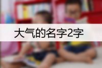 大气的名字2字