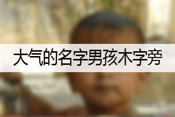 大气的名字男孩木字旁