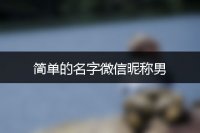 简单的名字微信昵称男