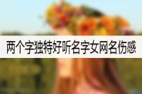 两个字独特好听名字女网名伤感