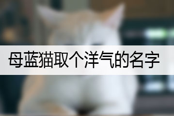 母蓝猫取个洋气的名字