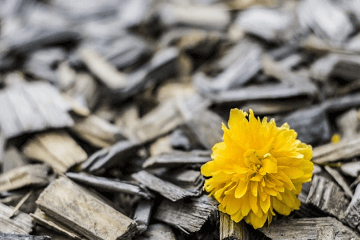 四字押韵唯美古风网名