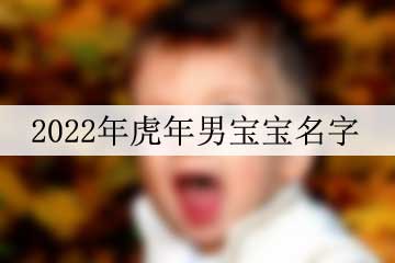 2022年虎年男宝宝名字