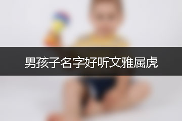 男孩子名字好听文雅属虎